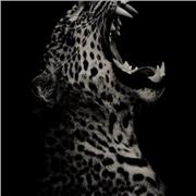 Experiencia 5 años dando clases particulares 
Derecho 
B1 de inglés