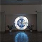 Biology Tutor for Middle & High School Students and I have an University Background in Life Sciences, Online Teaching in English. 