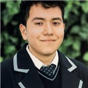 Tutor de inglés nativo apto para muchos estudiantes