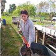 ganadería orientada a la produccion de carne