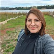 Ingeniera Comercial Mención administración de empresas, Ofrece clases de matemáticas para educación Básica