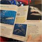 *Profesora de idioma frances de 3 a 50 años. 
*Clases de apoyo escolar primaria de 2 a 12 años.