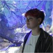 Aulas para pessoas com dificuldade em qualquer matéria