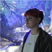 Aulas para pessoas com dificuldade em qualquer matéria