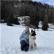 Docente di scuola primaria: ripetizioni e aiuto compiti per bambini di scuola primaria (tutte le materie) e medie (no matematica)