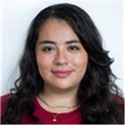 Profesora de Historia y Humanidades especialista en Historia del Arte a nivel secundaria, preparatoria y universidad