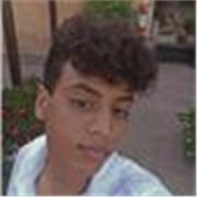ragazzo 4 anno di superiori, con ottima preparazione in materie scientifiche( meccanica, fisica, matematica) ma anche in letteratura( media del 9)