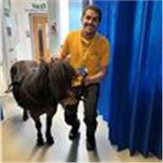 Friendly tutor who aims to raise students aims