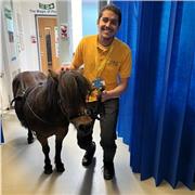 Friendly tutor who aims to raise students aims