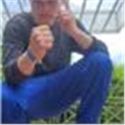 Clases de boxeo y a condicionamiento fisico