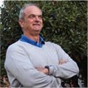 sólida experiencia tanto en el ámbito académico como en el profesional. He impartido docencia.