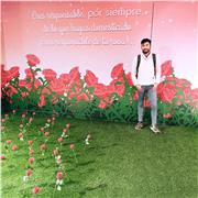 Profesor general básica, Mención en lenguaje y comunicación