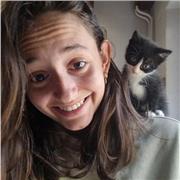 Bilingue en Anglais propose des cours jusqu'au niveau B2