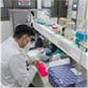 Docente de Ciencias Naturales; énfasis en Biología y Química