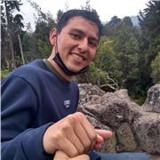 Clases particulares de física y matemática bachillerato básico y medio universitario