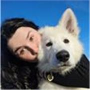 Tout savoir sur le chien et le chat (elevage, éducation, alimentation, évolution...)