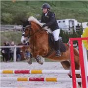 Cours de soutien, aide aux devoirs, si possible coaching a des eleves qui souhaite travailler et faire de leur mieux