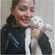 Clases de español online. Diferentes niveles