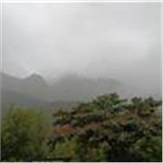 Formador de logística y maquinaria. 
Repaso y apoyo