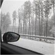 Profesora de Matemáticas o Historia. Primaria o secundaria. 