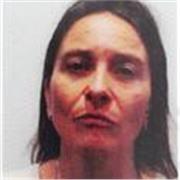 Busqueda de Maestro o profesor de español remoto