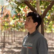 Profesor de Historia, Geografía y Ciencias Sociales dicta clases particulares de la asignstura y contendios relacionados