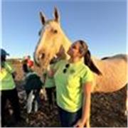 Profesora de Equitación todas las disciplinas y tenis a todos los niveles
Profesora de balonmano
Matemáticas, biología 