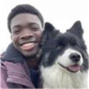 Professeur particulier donnent des cours d’anglais, mathématiques et physique à des élèves de la primaire à la 3ème