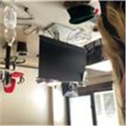 Offro Ripetizioni individuali on Line e sono a Roma! Sono una consulente aziendale laureata in giurisprudenza! 