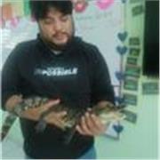 clases dinámicas de ecológica, biología y ciencias naturales