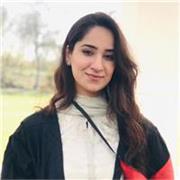 Experienced Online Tutor with expertise in Computer,Maths ,IGCSE,GCSE,Programming