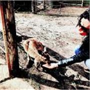 Docente universitaria con esperienza all'estero impartisce lezioni private di inglese per tutte le età e tutti i livelli!