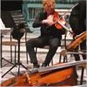 Offro lezioni a chiunque voglia intraprendere un percorso nel mondo musicale di teoria solfeggio applicando un approccio adatto