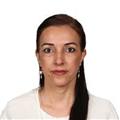 A native Turkish-speaking teacher with over 20 years of experience offers Turkish language classes for those interested.