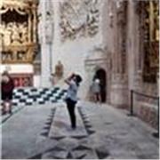 he dado clases vía online de historia del arte y técnicas artísticas a personas con diversidad funcional