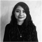 Maestra multidisciplinaria (español, física, matemáticas, robótica) en línea