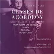 Profesora waldorf de acordeón, especialista en iniciación musical, para todas las edades, técnica, lectura musical y respertorio