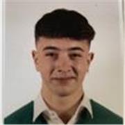 Profesor de inglés nativo ofrece clases particulares online.