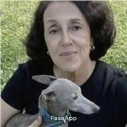 Professor inglês britânico e americano aulas on-line e presenciais