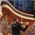 Clases de violín personalizadas: profesor con más de 10 años de experiencia... únete no dejes pasar el tiempo