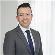 Profesor de Algebra, aritmética y cálculo