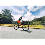 Profesor de fútbol, natación, tenis de mesa y campo, etc