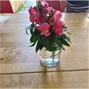 Offro lezioni private a studenti per test di ingresso psicologia, preparazione esami, tesine ed aiuto-compilazione tesi psicologia