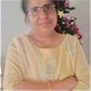 Online mathematics teacher