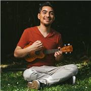 Sesiones online personalizadas 1 a 1 con mentor especializado