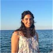 Top-achieving GCSE tutor offering online Maths, English, Geography, Biology, Physics, Chemistry and History lessons for KS3 and GCSE students nationwide