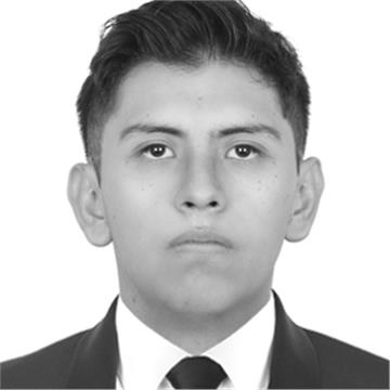 Maestro de apoyo en áreas desde secundaria hasta materias como lo son calculo diferencial