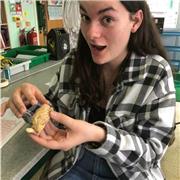 Biology and science tutor for all ages up to GCSE