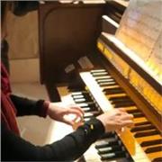 Offro lezioni di Teoria e Solfeggio, Storia della Musica, Pianoforte a bambini di scuola elementare e a ragazzi di scuola media e superiore.
Disponibile anche per direzione di coro.