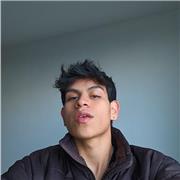 Profesor de informatica con conocimientos en algortimos, java,php,python,html,bootstrap